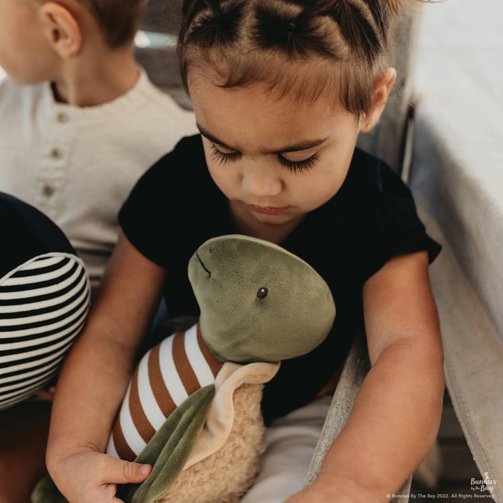 Bunnies By the Bay - Sheldon the Turtle