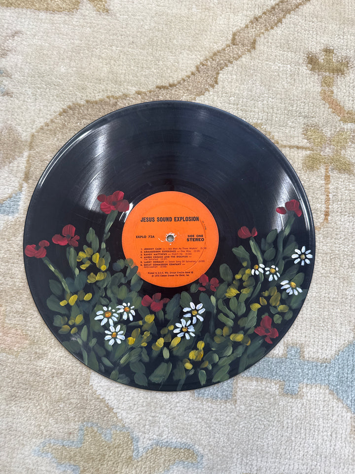 Hand Painted Vinyl Records: 12 inches (33 rpm)