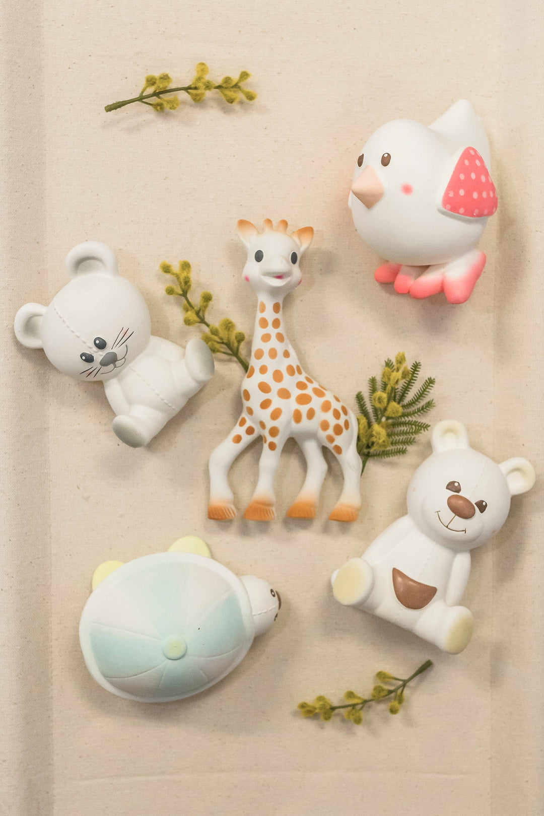 Sophie la Girafe - Sophie la Girafe friend Gabin the Bear