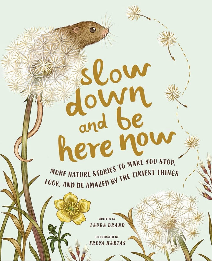 Slow Down and Be Here Now book front cover, illustrated by Freya Hartas, written by Laura Brand