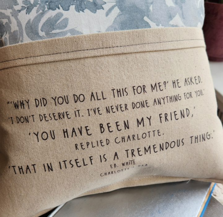 The Reader’s Pocket Pillow